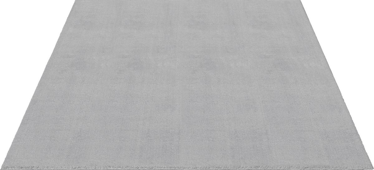 Fellteppich Loft Grau ca. 60x110cm - Grau, KONVENTIONELL, Textil (60/110cm)