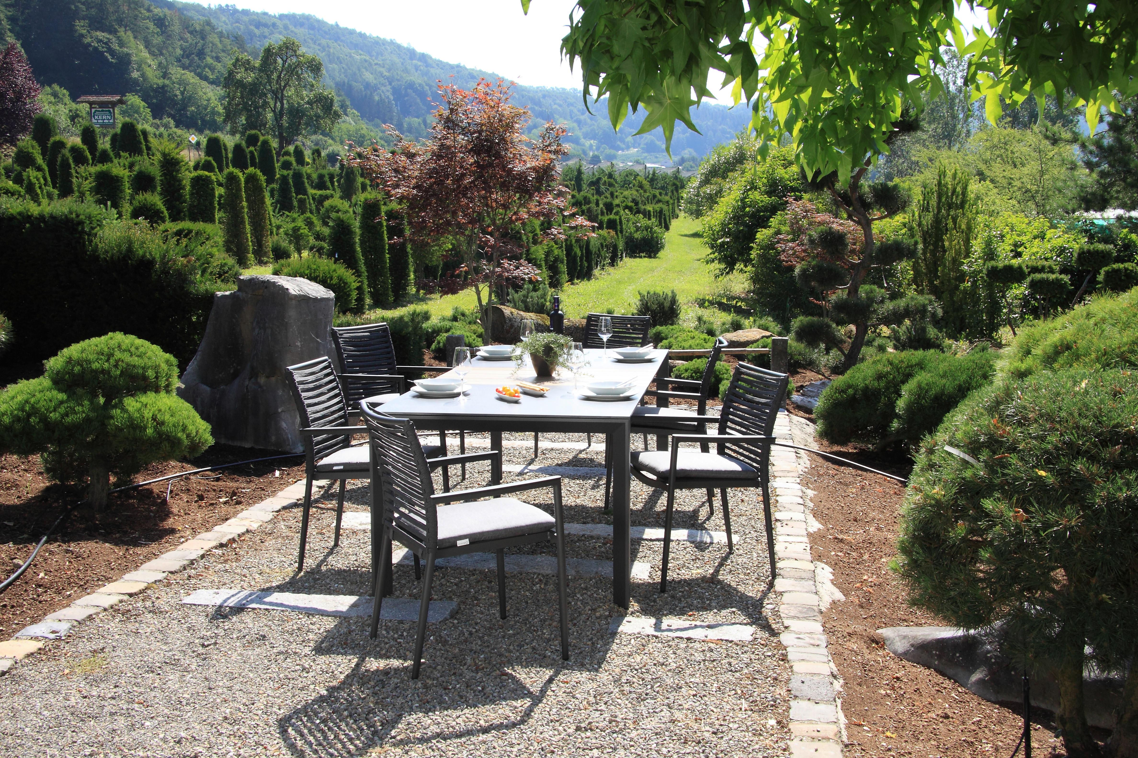 Gartenset 5-tlg. Metall/Glas/ Textil/Kunststof/Holzwerkstoff - Dunkelgrau/Anthrazit, Basics, Glas/Holzwerkstoff (180+60/100/74cm)