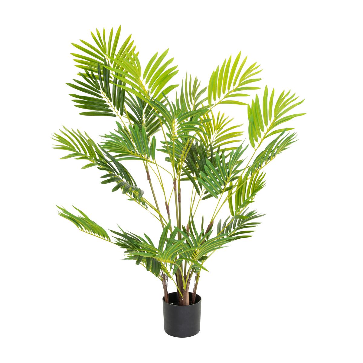 Umetna Rastlina Areca I - črna/zelena, Basics, umetna masa (70/120/70cm) - MID.YOU