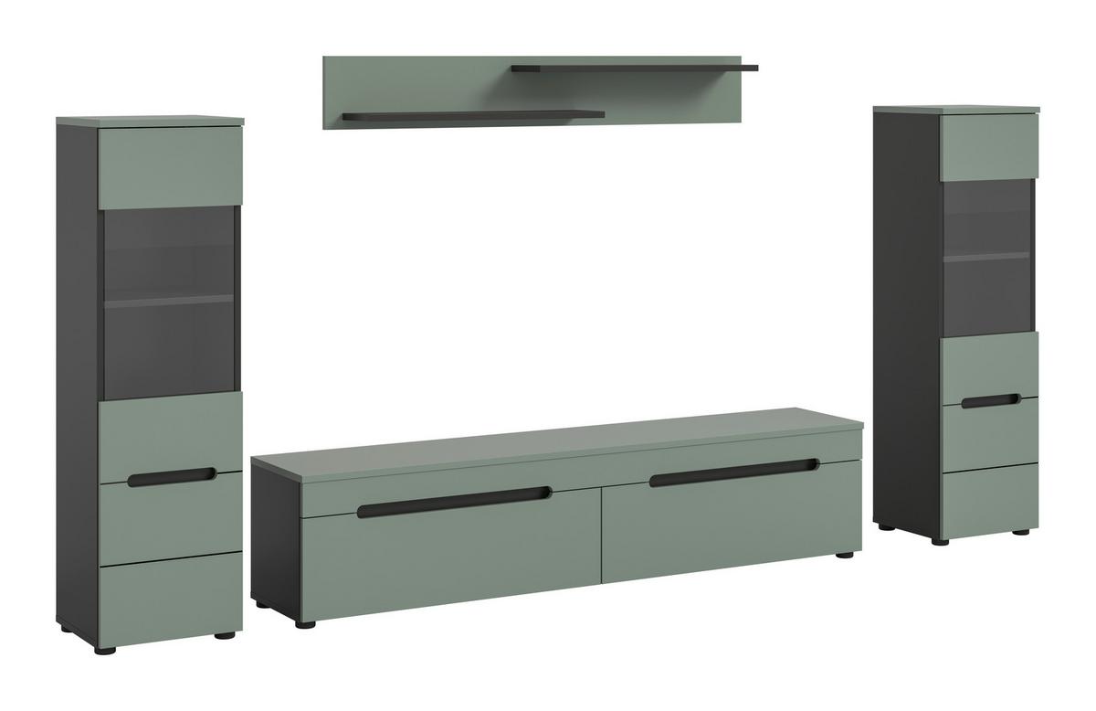 Dnevni Regal Canu, Sivozelena, 4-Delni - črna, Design, umetna masa/leseni material (272/141/33cm) - Livetastic