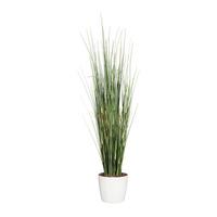 Kunstpflanze Equisetum Gras ca. 155cm - Schwarz/Grün, Basics, Kunststoff (155cm) - P & B