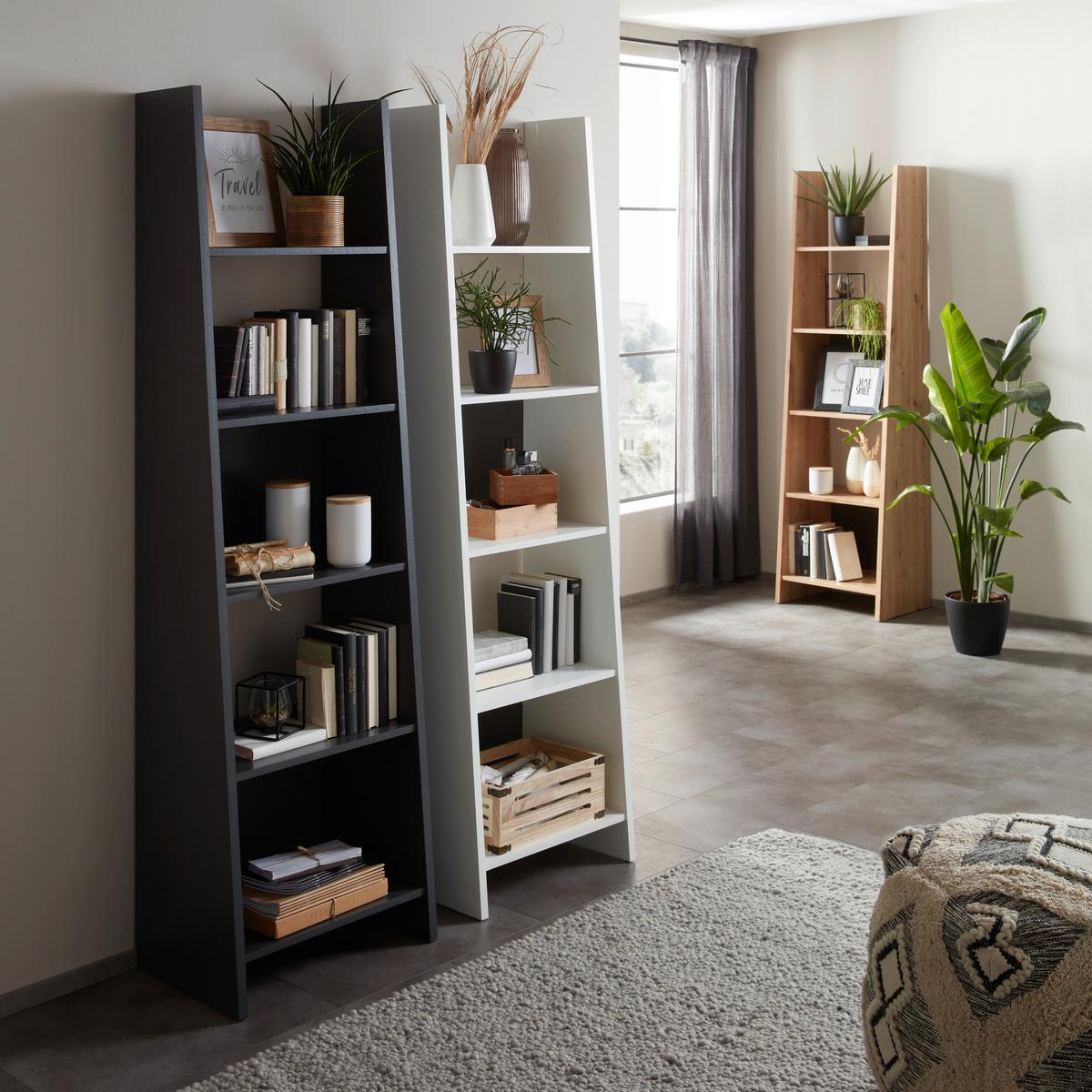 Regal in Anthrazit - Anthrazit, Modern, Holzwerkstoff (54/186/38cm) - Mömax