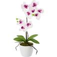 Orchidea 109318-l - Pink/Lila, Műanyag/Fém (11cm) - MÖMAX modern living