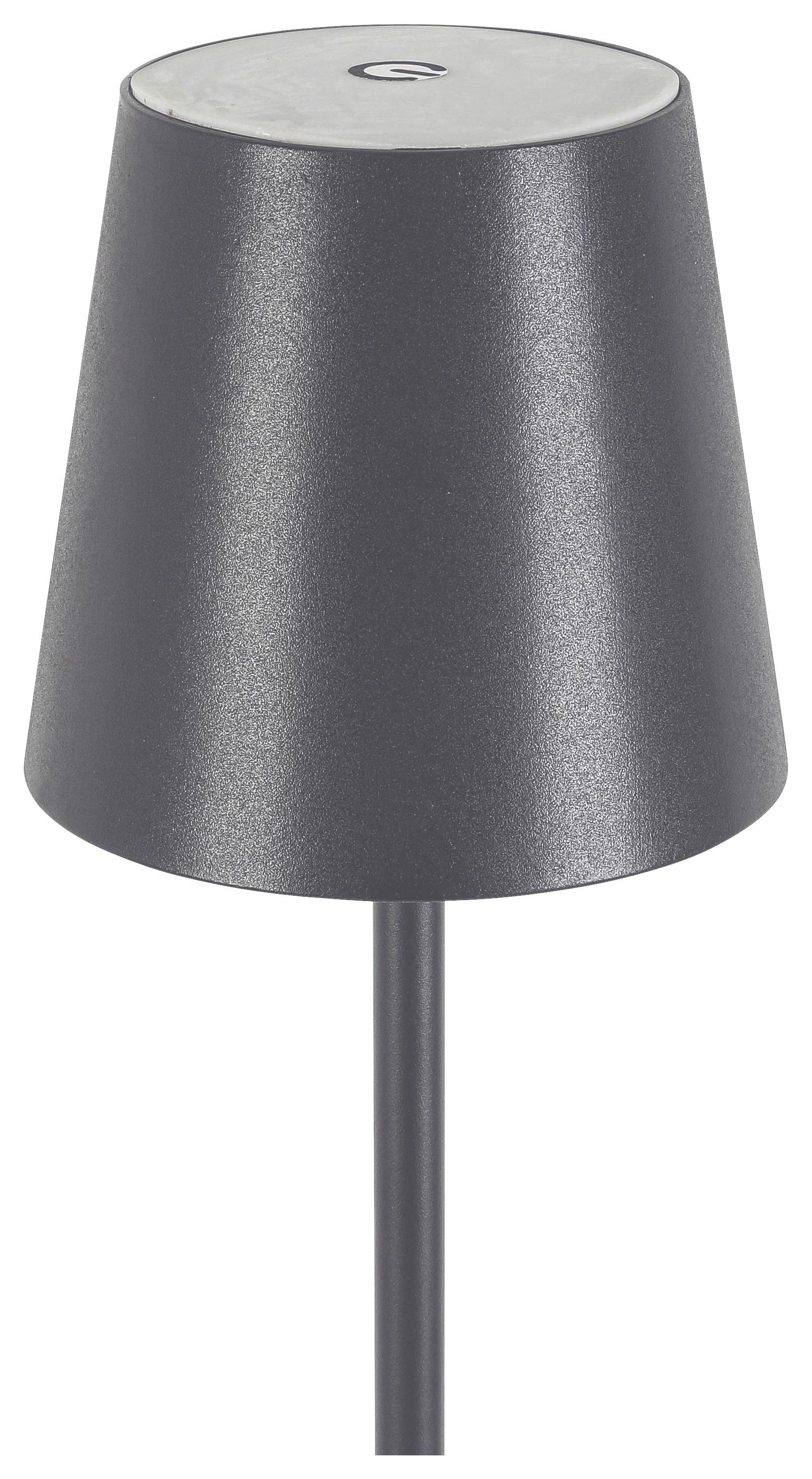 LED-UTOMHUSLAMPA AUSI - antracit, Modern, metall/plast (22/22/130cm) - Modern Living