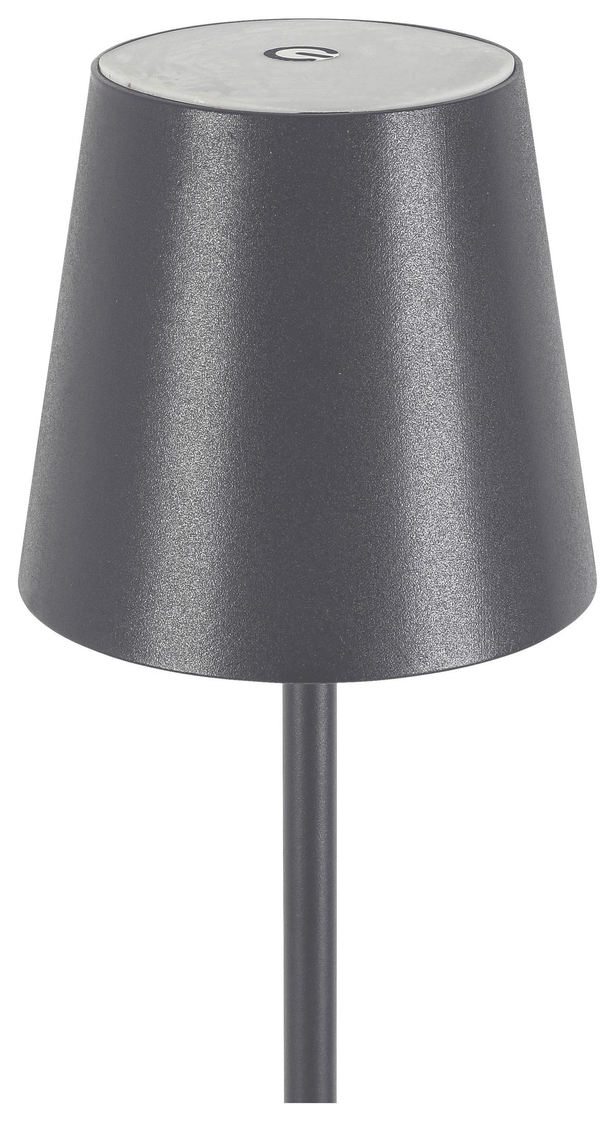 LED Állólámpa Ausi - antracit, Modern, műanyag/fém (22/130cm) - Modern Living