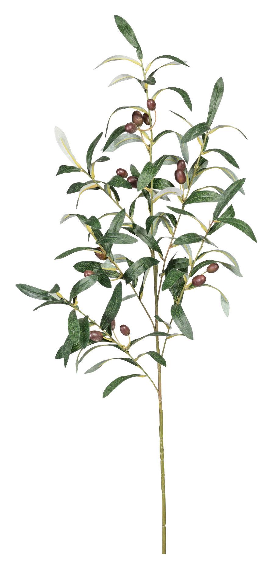 Umetna Rastlina Olivenzweig Ii - olivno zelena , Konvencionalno, umetna masa (100cm) - Modern Living