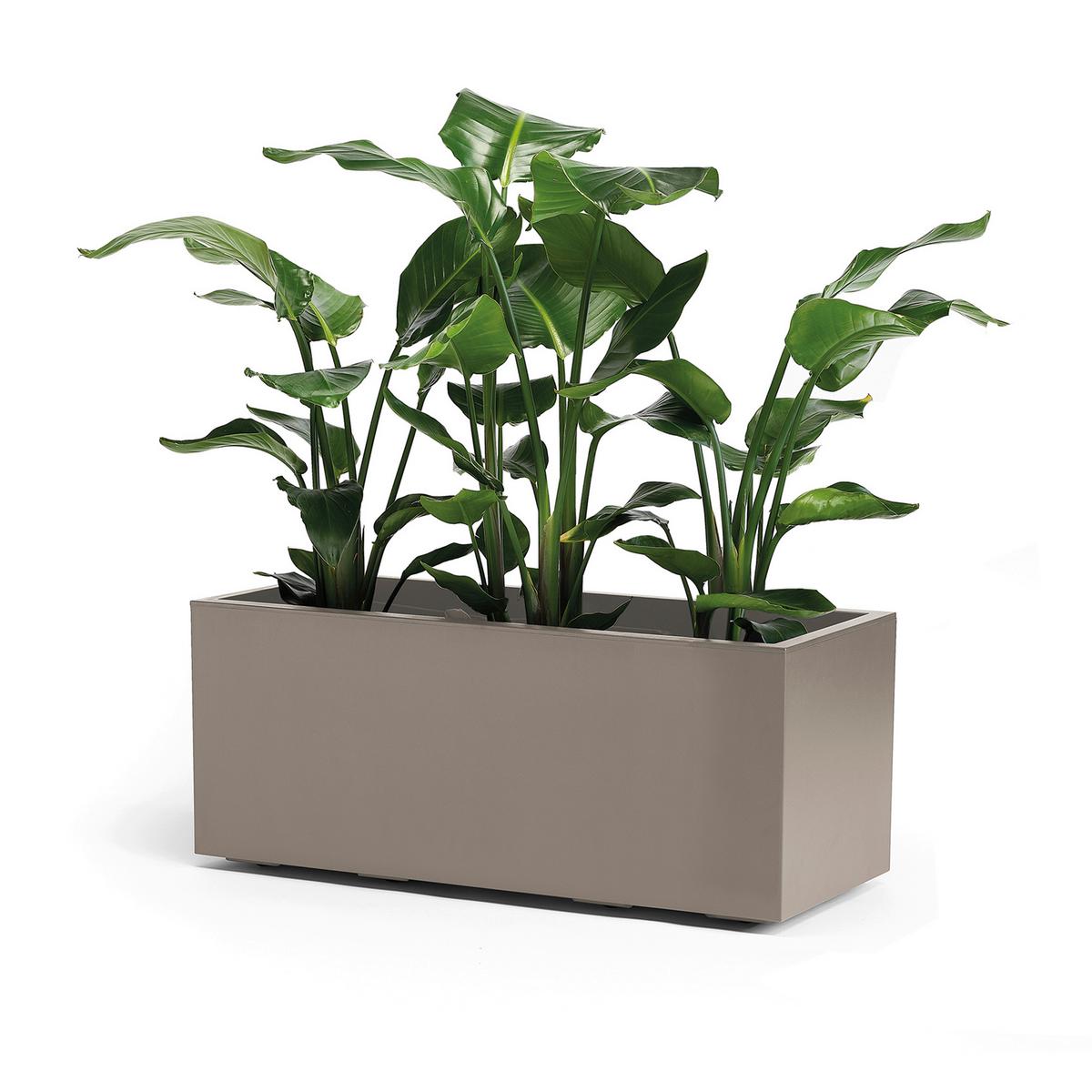 Blumenkasten Taupe - Taupe, Basics, Kunststoff (99,5/39,5/39,5cm)