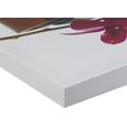 Slika Orhideja - večbarvno, Trendi, tekstil/les (30/90/2,5cm) - Mömax modern living Slika Orhideja - večbarvno, Trendi, tekstil/les (30/90/2,5cm) - Mömax modern living