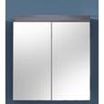 Spiegelschrank Miami/maine - Silberfarben, MODERN, Glas/Holzwerkstoff (72/79/17cm)