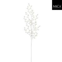 Okrasna Veja 1183233 - Basics (76cm) - Mömax