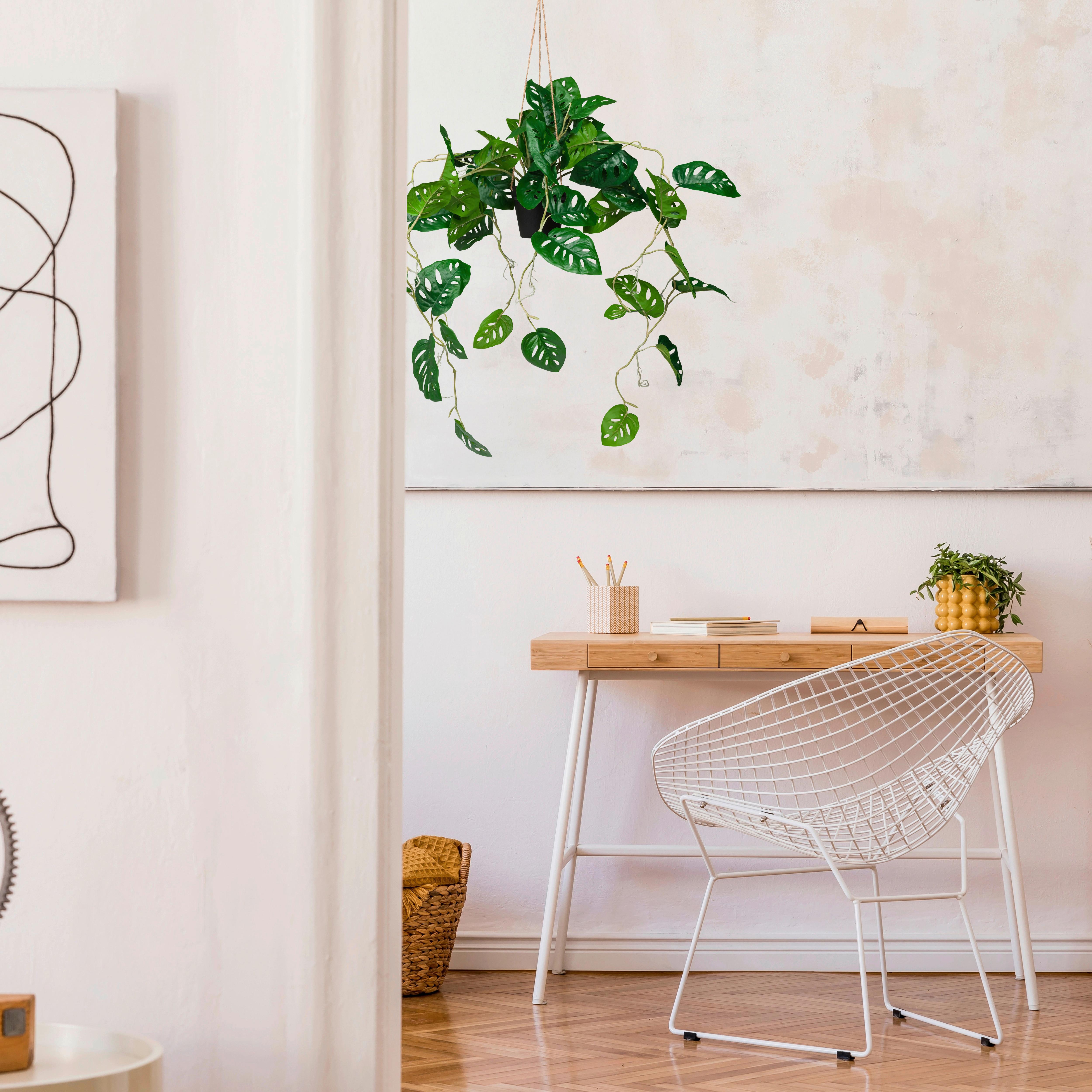 Umetna Rastlina Monstera Climb - črna/zelena, Moderno, umetna masa (75/100/63cm) - MID.YOU