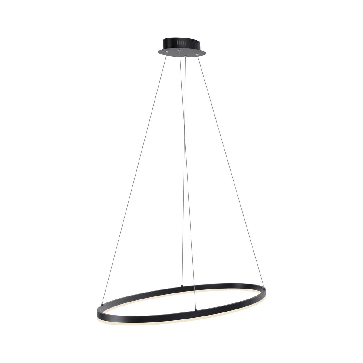LAMPA WISZĄCA LED 2392-13 TITUS - antracytowy, Design, tworzywo sztuczne/metal (80/39/120cm) - Paul Neuhaus