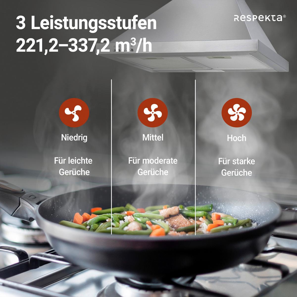 Dunstabzugshaube Dalia Edelstahl B: ca. 60 cm - Edelstahlfarben, Trend, Metall (60/70-108/50cm) - Respekta