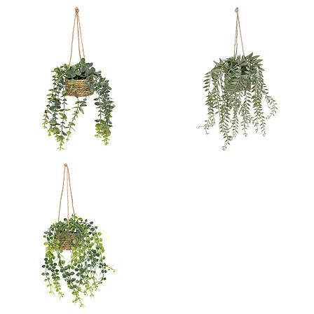 Plantă decorativă Patri - Basics (14/47/14cm)