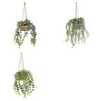 Plantă decorativă Patri - Basics (14/47/14cm)