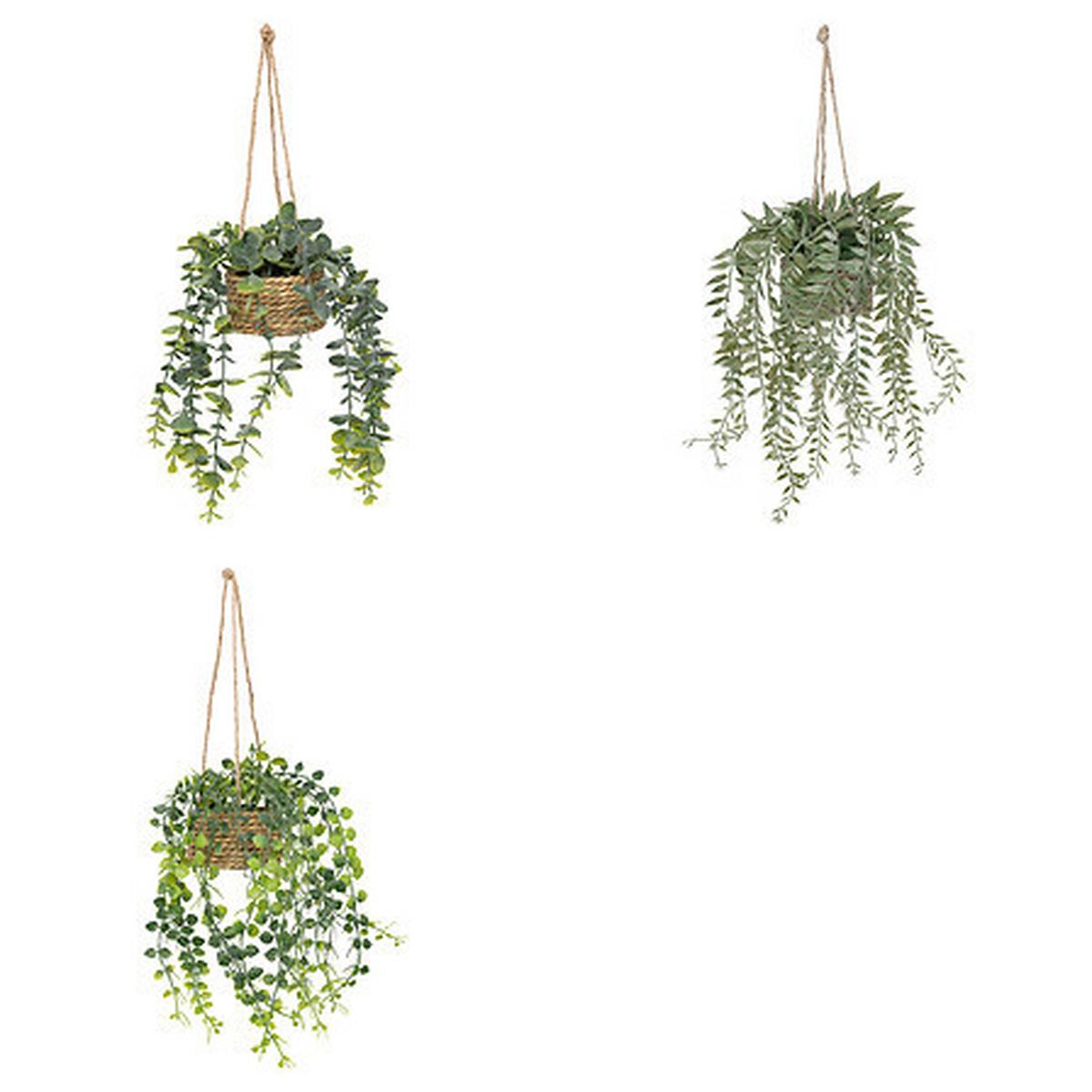 Plantă decorativă Patri - Basics (14/47/14cm)