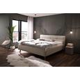 Polsterbett in Beige ca. 160x200cm - Eichefarben/Beige, KONVENTIONELL, Holz/Textil (160/200cm) - Premium Living Polsterbett in Beige ca. 160x200cm - Eichefarben/Beige, KONVENTIONELL, Holz/Textil (160/200cm) - Premium Living