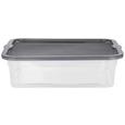 Box mit Deckel Lorry Grau - Transparent, KONVENTIONELL, Kunststoff (8l) - PLAST 1