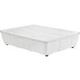 Unterbettroller Easy Big aus Kunststoff - Transparent, Kunststoff (79.5/18.0/58.3cm) Unterbettroller Easy Big aus Kunststoff - Transparent, Kunststoff (79.5/18.0/58.3cm)