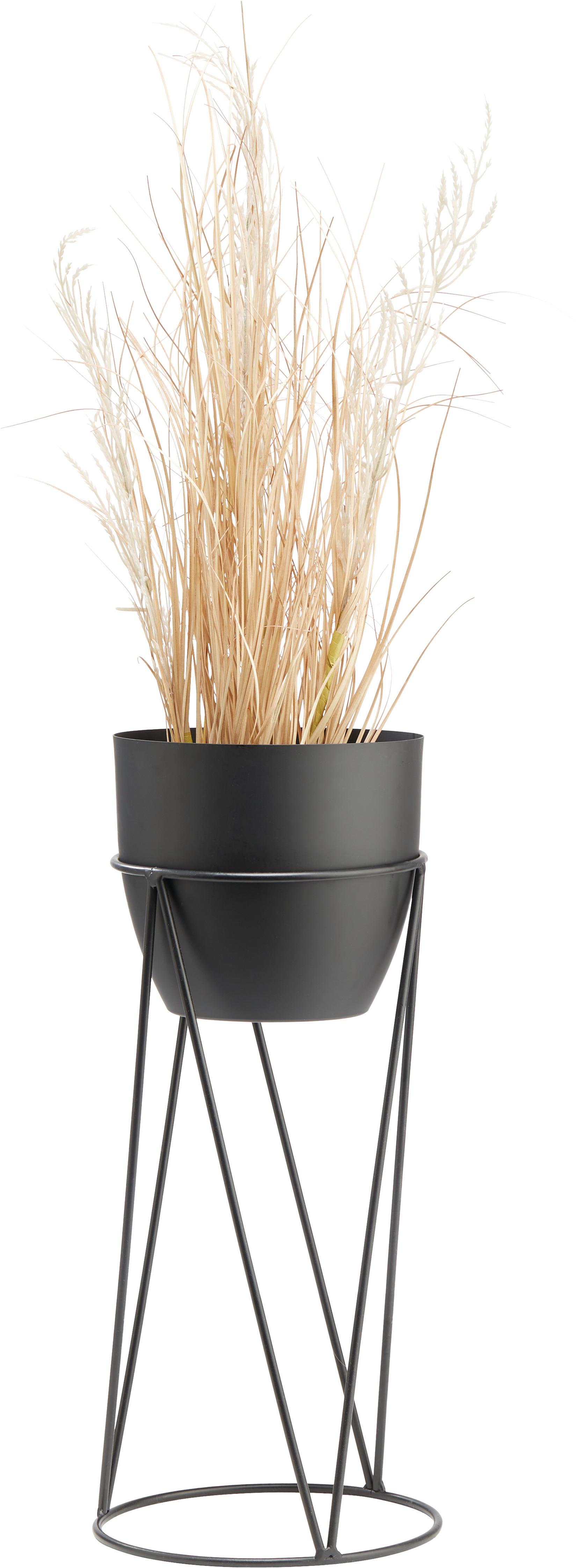 Cvetlični Lonček Eastside - črna, kovina (22/50cm) - Modern Living