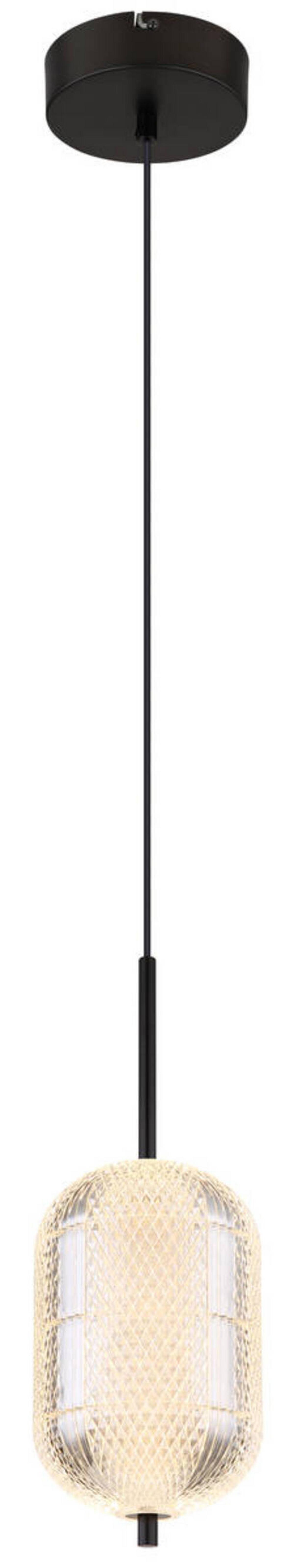 LED-Hängeleuchte Kurius Schwarz max. 12 Watt - Klar/Schwarz, KONVENTIONELL, Kunststoff/Metall (15/120cm) - Globo