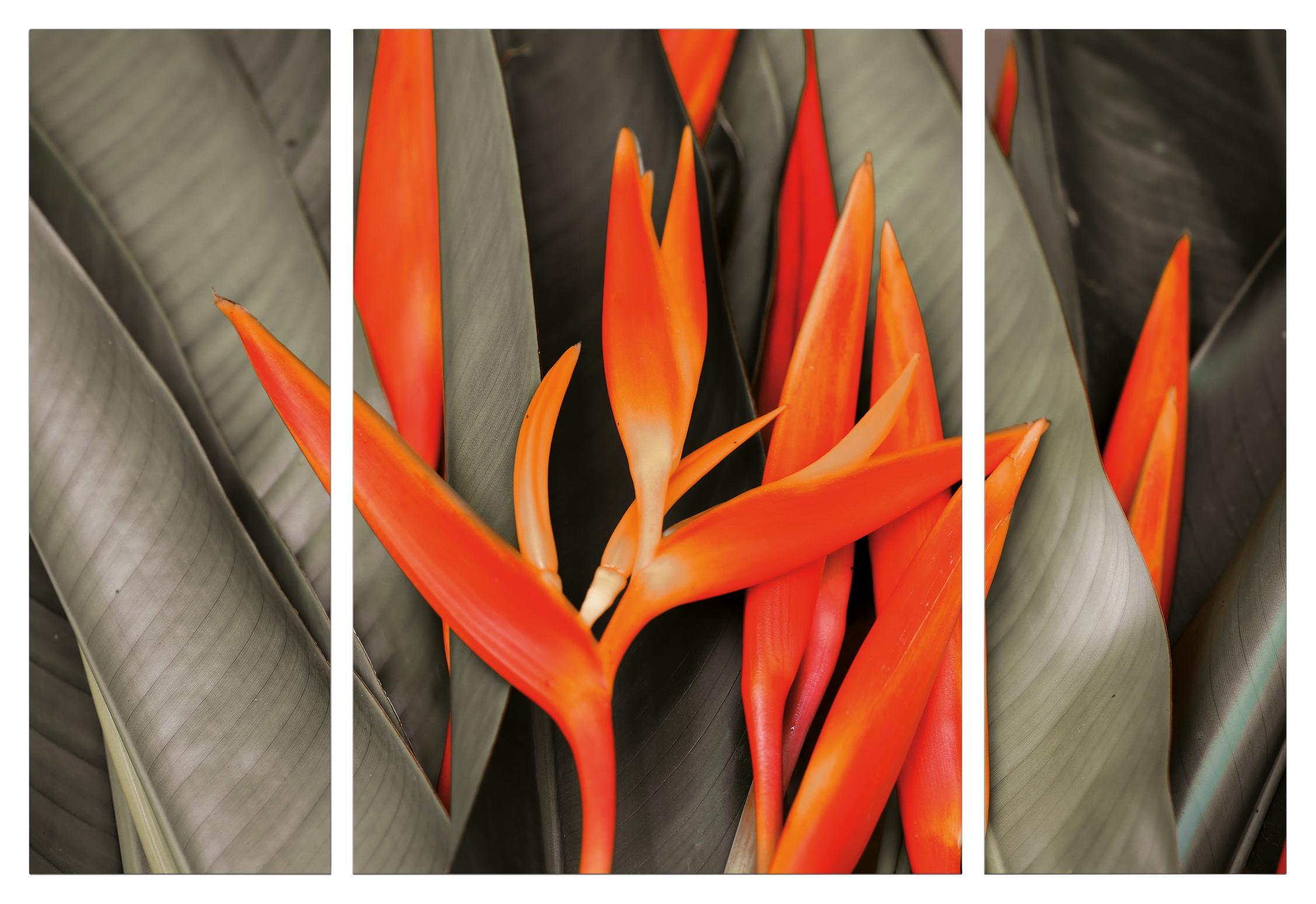 Keilrahmenbild Marius Orange/Grün - Orange/Olivgrün, Holzwerkstoff/Textil (116/80/1.8cm)