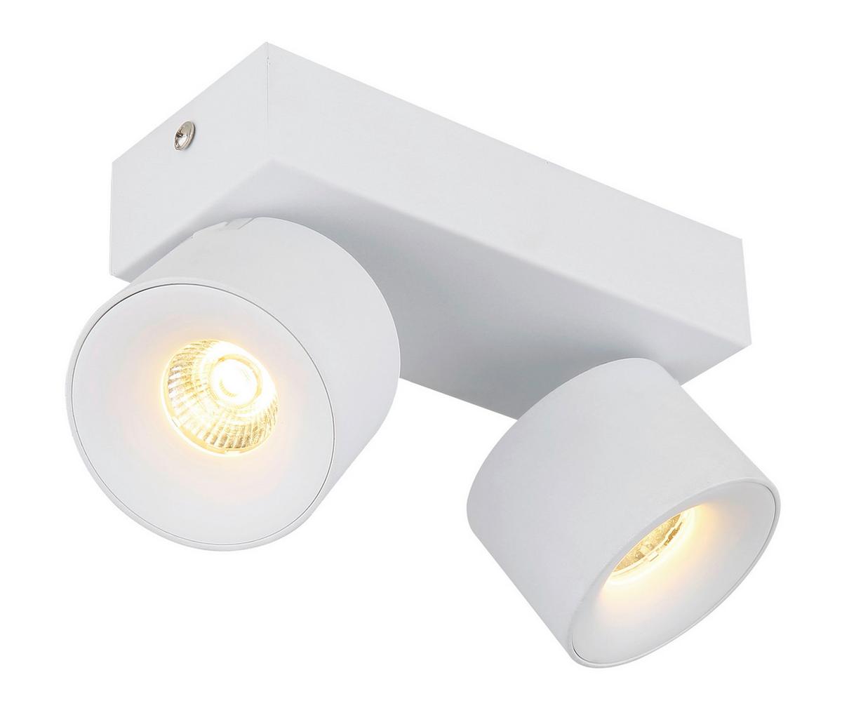 LED-STRAHLER 56961-2W RAE - Weiss/Transparent, Basics, Kunststoff/Metall (20.5/7.2/12cm) - Globo