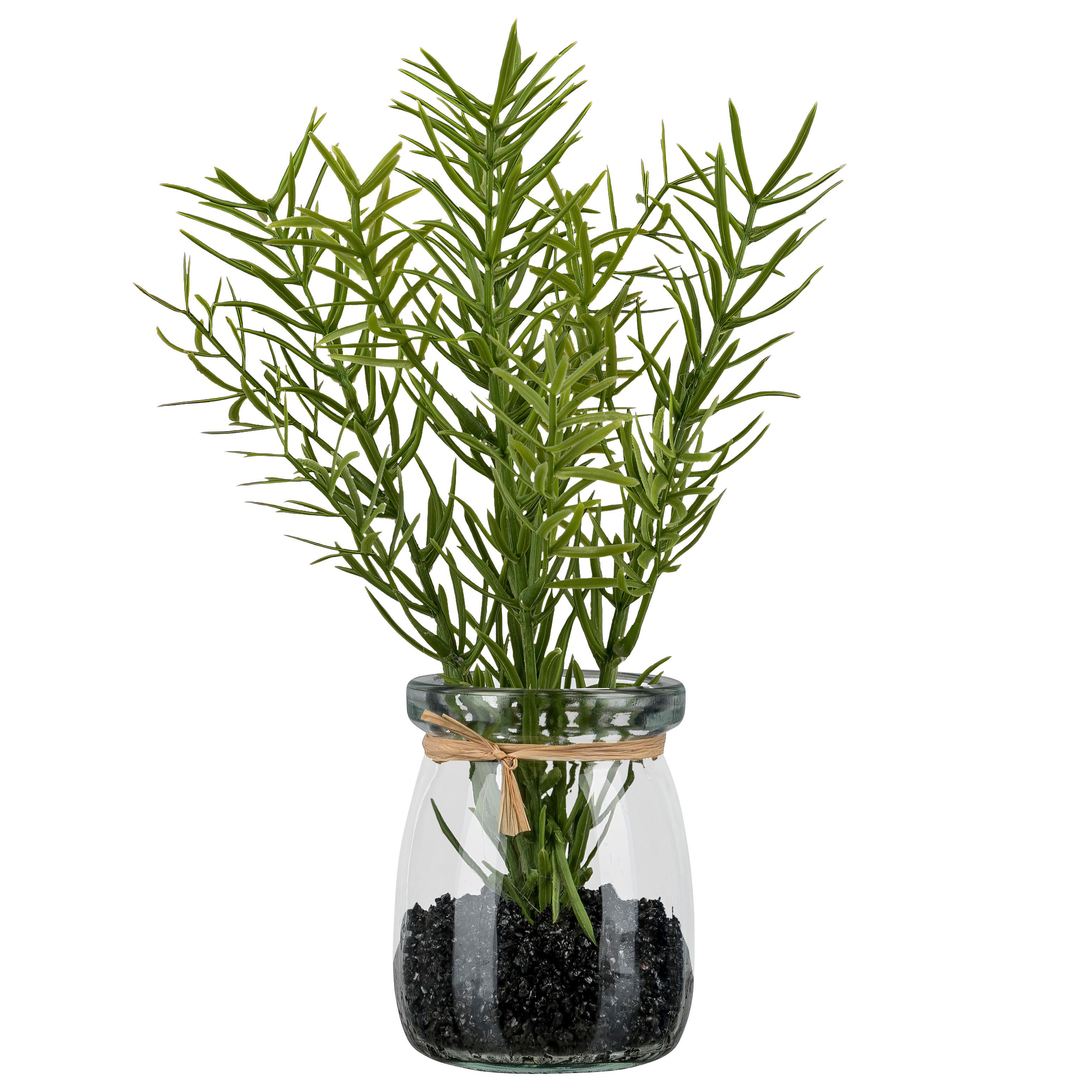 Kunstpflanze Rosmarin II Grün/Braun - Klar/Braun, KONVENTIONELL, Glas/Kunststoff (18cm) - Mömax