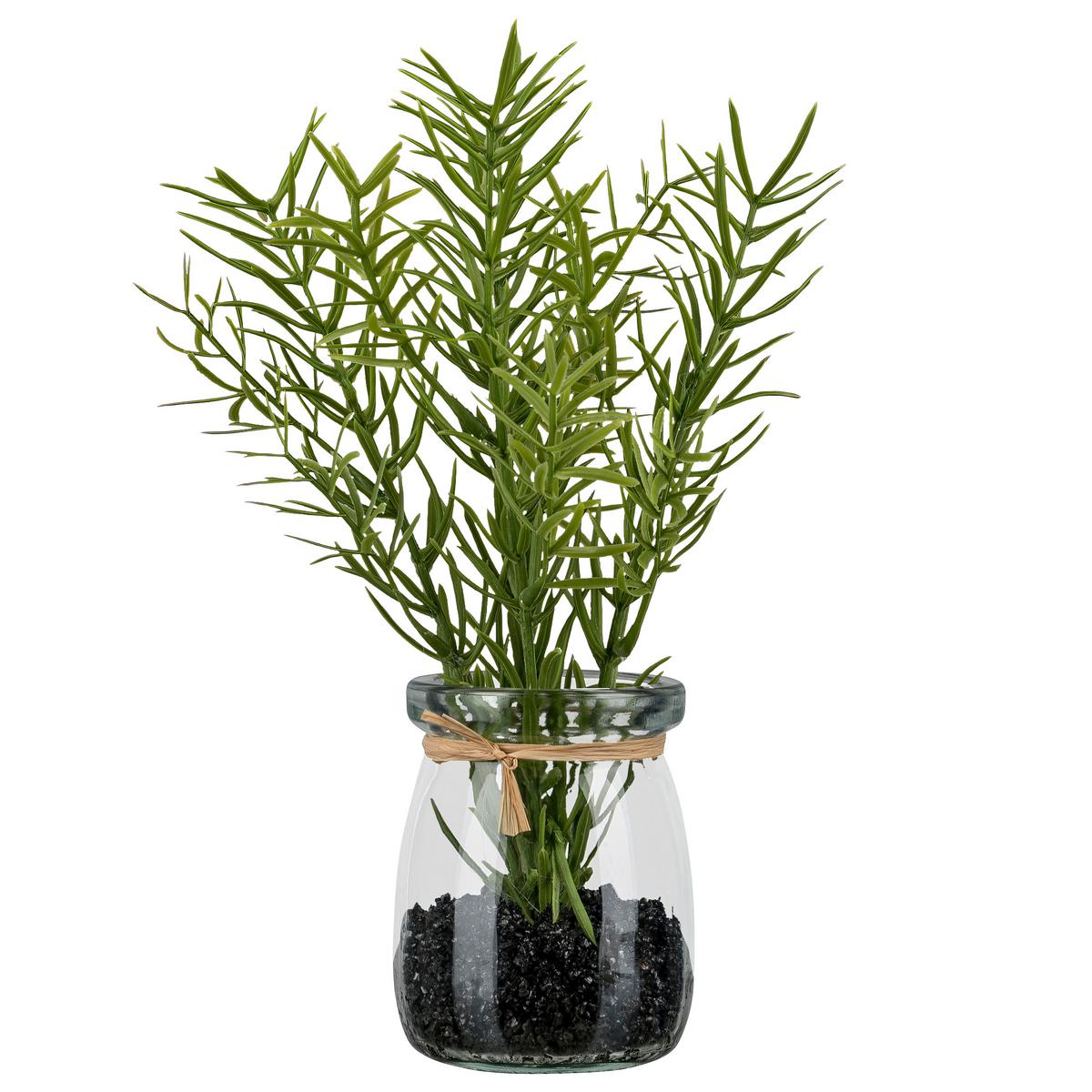 Umetna Rastlina Rosmarin Ii - zelena/rjava, Konvencionalno, umetna masa/steklo (18cm) - Mömax