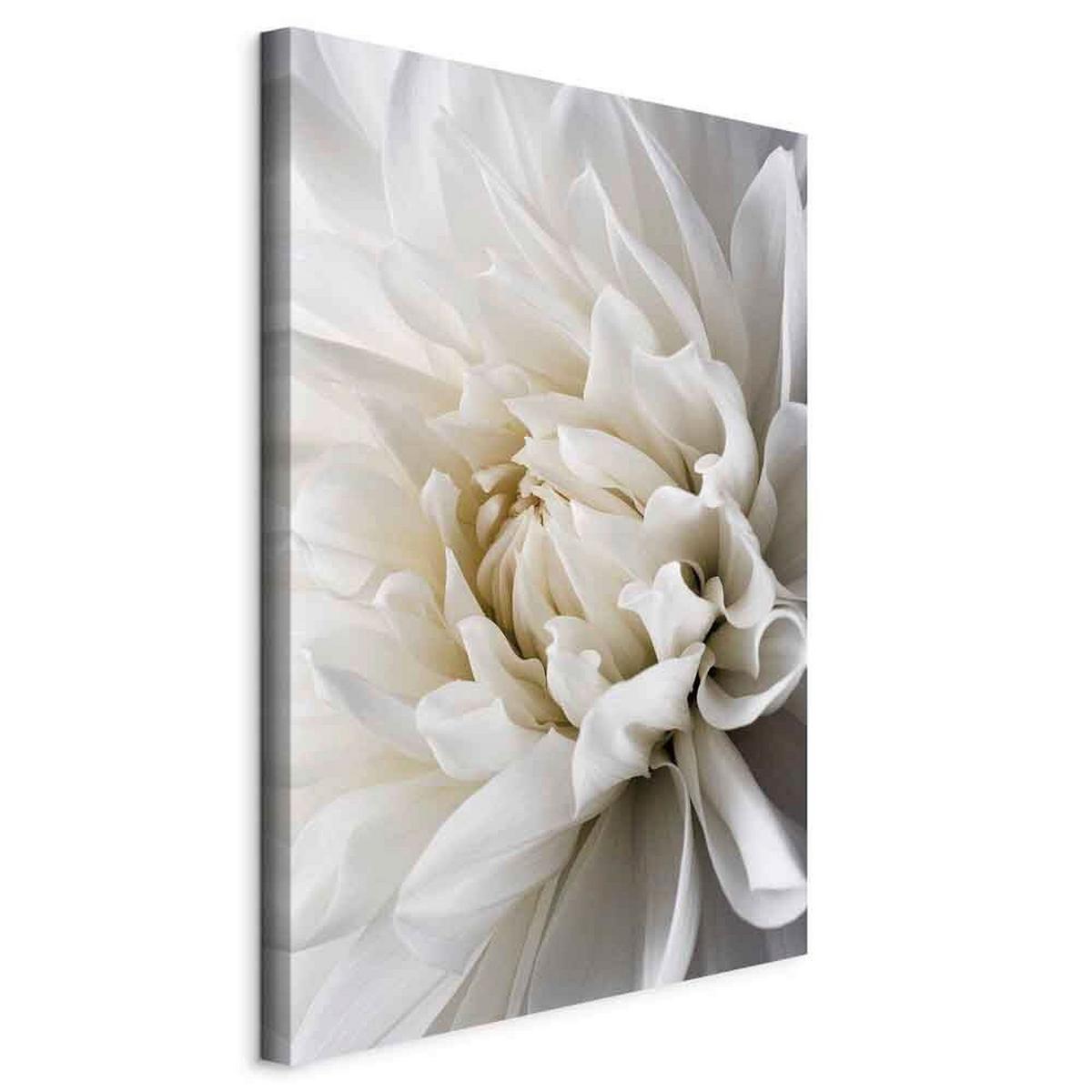 Slika Na Platnu White Dahlia - bela/sivobela, Basics, tekstil/les (80/120/1.2cm) - artgeist