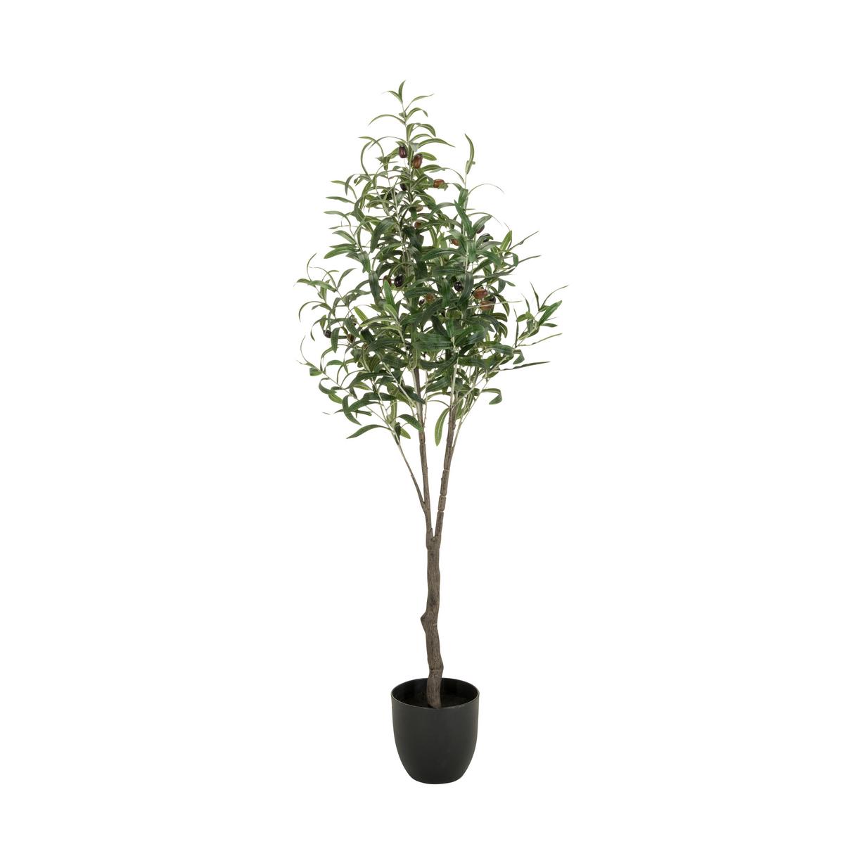 Umetna Rastlina Olive - črna/zelena, Basics, umetna masa (45/120/45cm) - MID.YOU