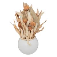 Floare decorativă Sea view dried flower - Design (25cm)