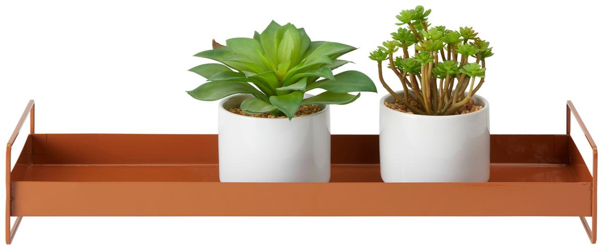 Poslužavnik Dekorativni Wolga I -Paz- - smeđa, Basics, metal (50/8,5/16cm) - Modern Living