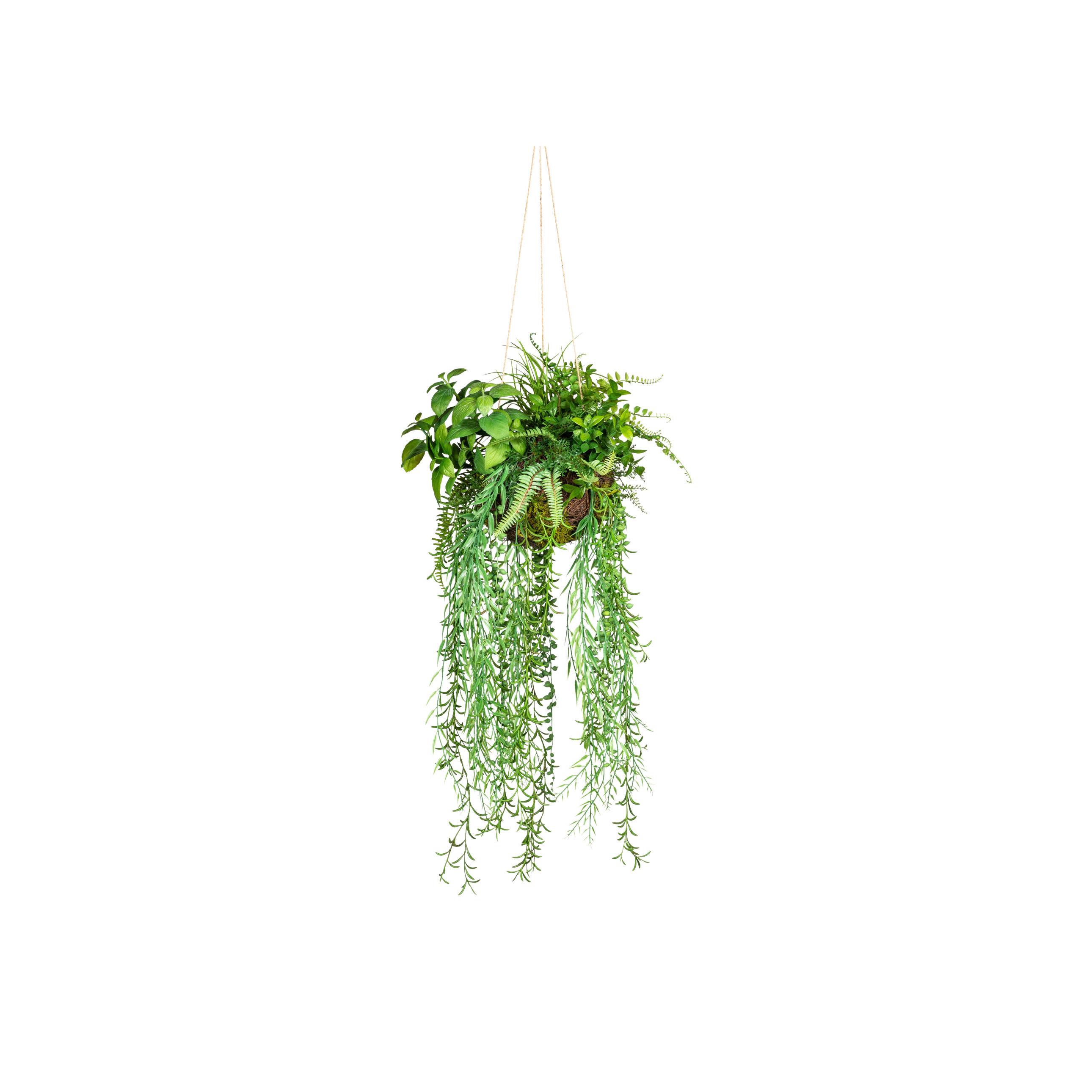 Kunstpflanze Hängepflanzen Grün - Grün, Design, Kunststoff (30cm)