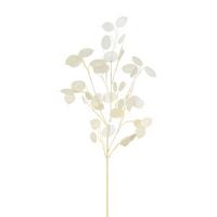 DEKOZWEIG PFENNIGBLATTZWEIG I - Creme, Konventionell, Kunststoff (76cm) - Modern Living