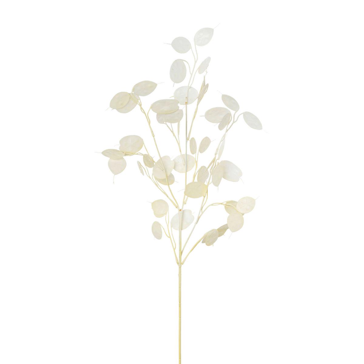 DEKOZWEIG PFENNIGBLATTZWEIG I - Creme, Konventionell, Kunststoff (76cm) - Modern Living