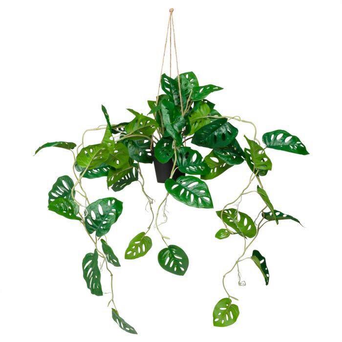 Umetna Rastlina Monstera Climb - črna/zelena, Moderno, umetna masa (75/100/63cm) - MID.YOU