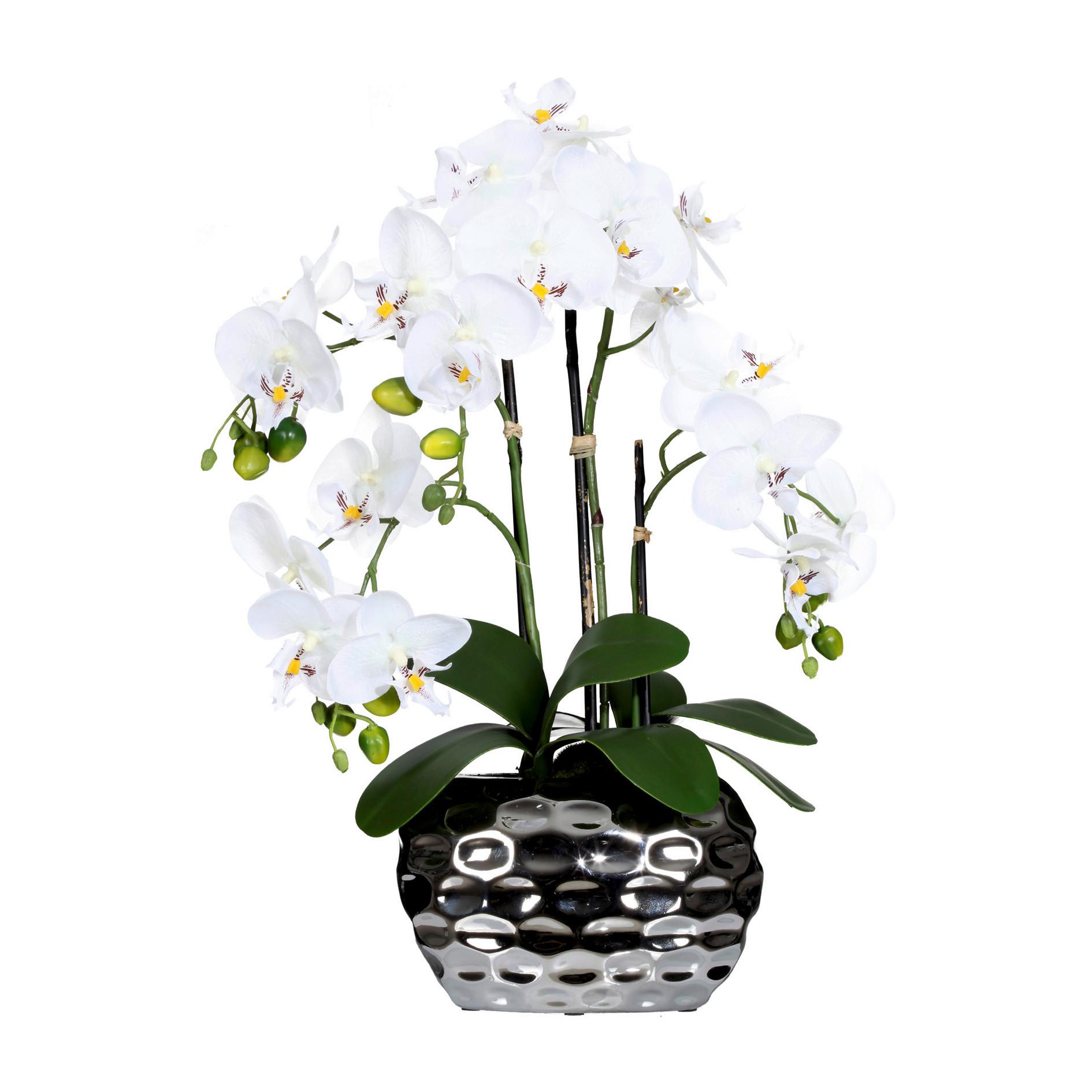 Kunstpflanze Orchideen Grün ca. 55cm - Silberfarben/Weiß, Design, Kunststoff (55cm) - P & B