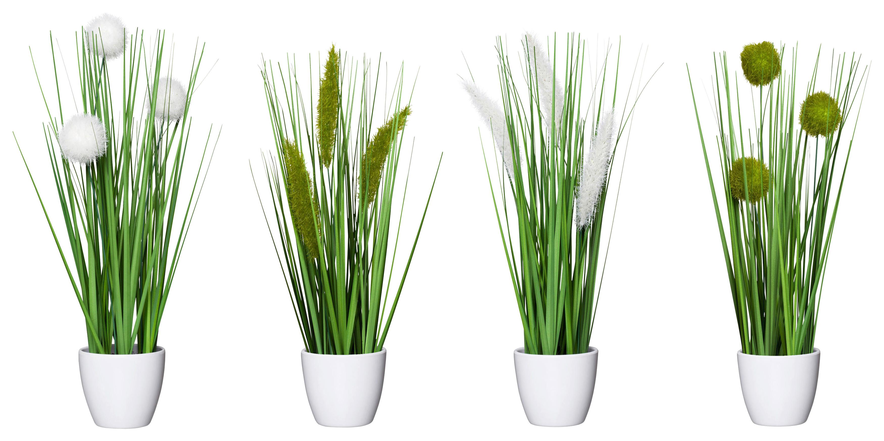 Műnövény Cserépben Jimmy - zöld, Konventionell, műanyag (37cm) - Modern Living
