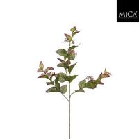 Okrasna Vejica Meta - Moderno (67cm) - Mömax