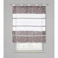 Storuri Romane Anita - gri, Konventionell, textil (80/140cm) - Modern Living Storuri Romane Anita - gri, Konventionell, textil (80/140cm) - Modern Living
