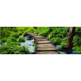 Glasbild Green Boardwalk, ca. 33x98x2cm - Multicolor, MODERN, Glas (33/98/2cm) - Mömax modern living