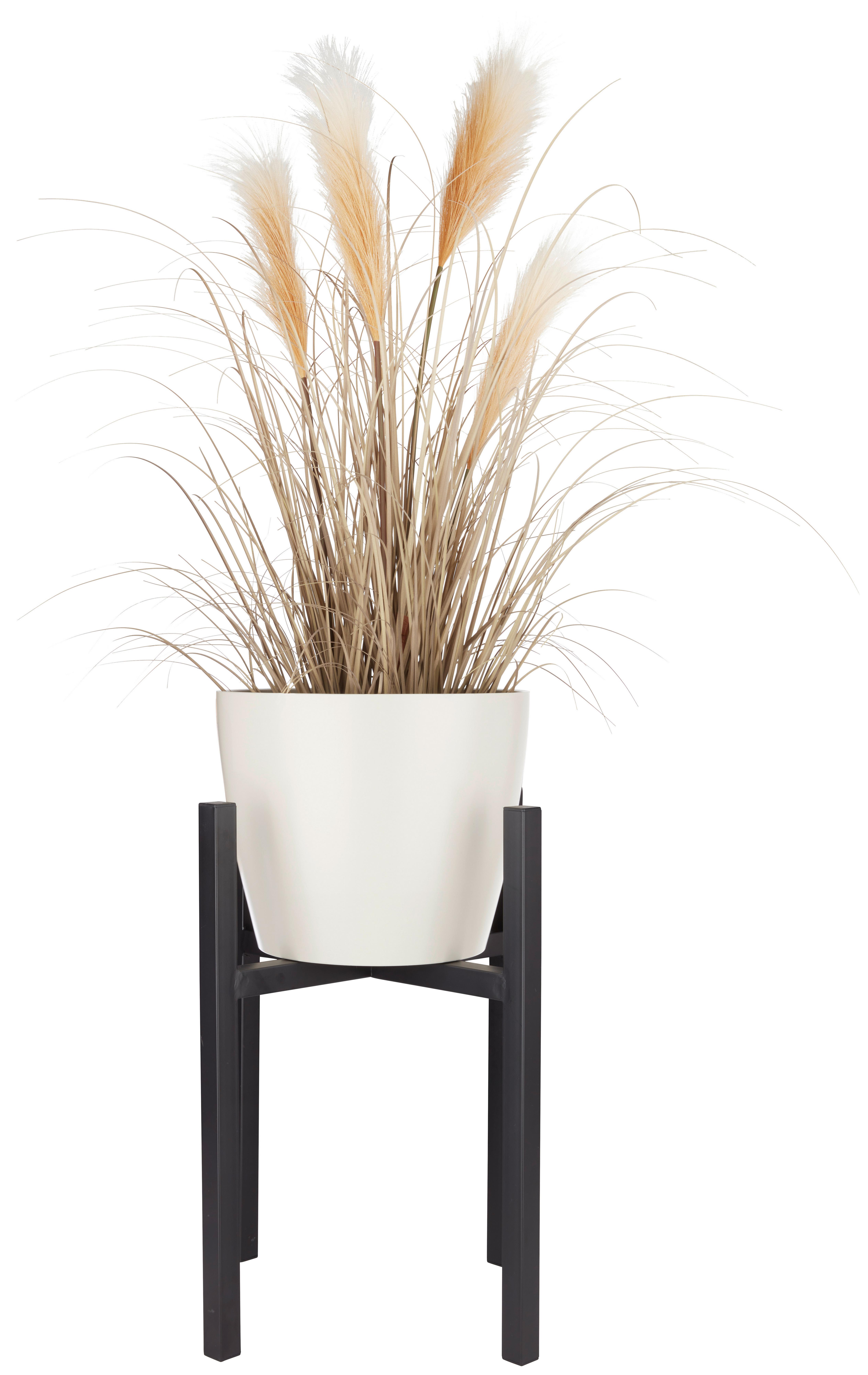 Pflanzentopfstütze Solido in Schwarz - Schwarz, Basics, Metall (41,5/50cm) - Modern Living