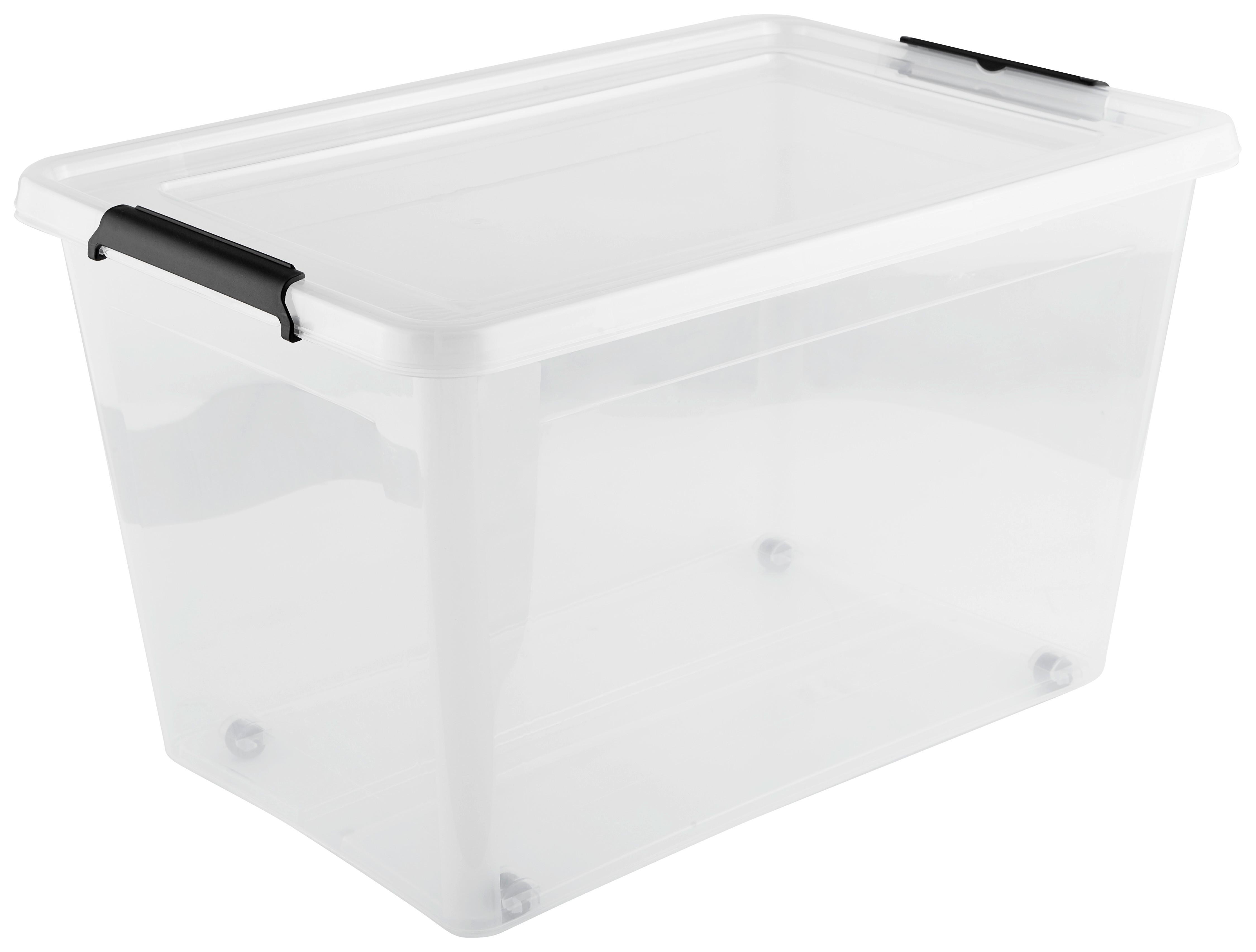 Box mit Deckel Rudolf aus Kunststoff ca. 60l - Transparent, Kunststoff (58/39/35cm)