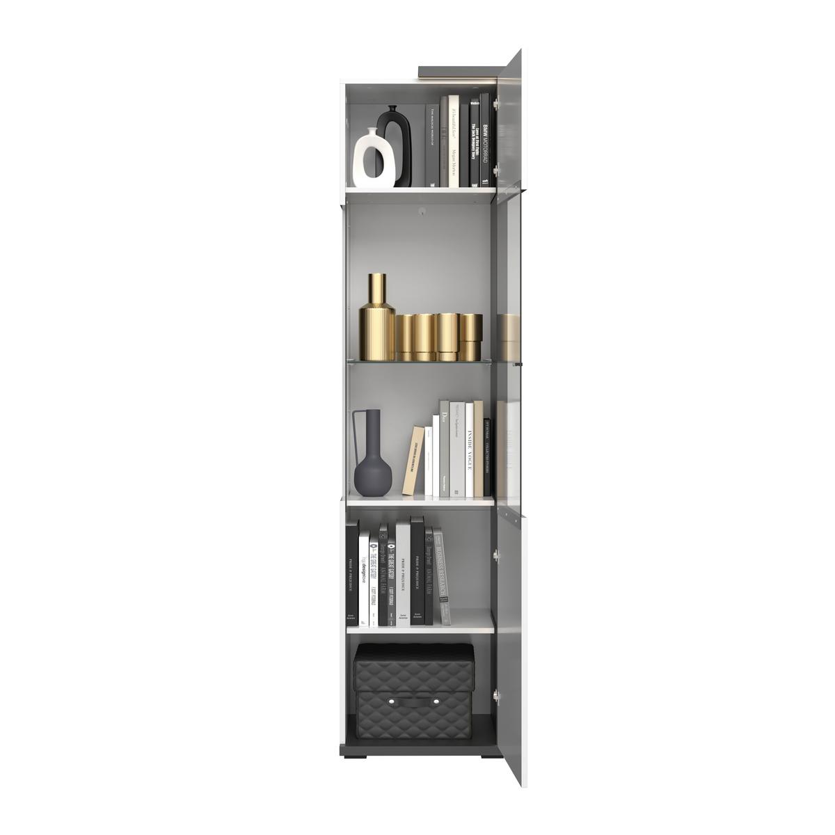 Vitrina Ambiente Plus - bijela/bijela visoki sjaj, Moderno, staklo/drvni materijal (48,5/199,1/43,6cm) - Modern Living
