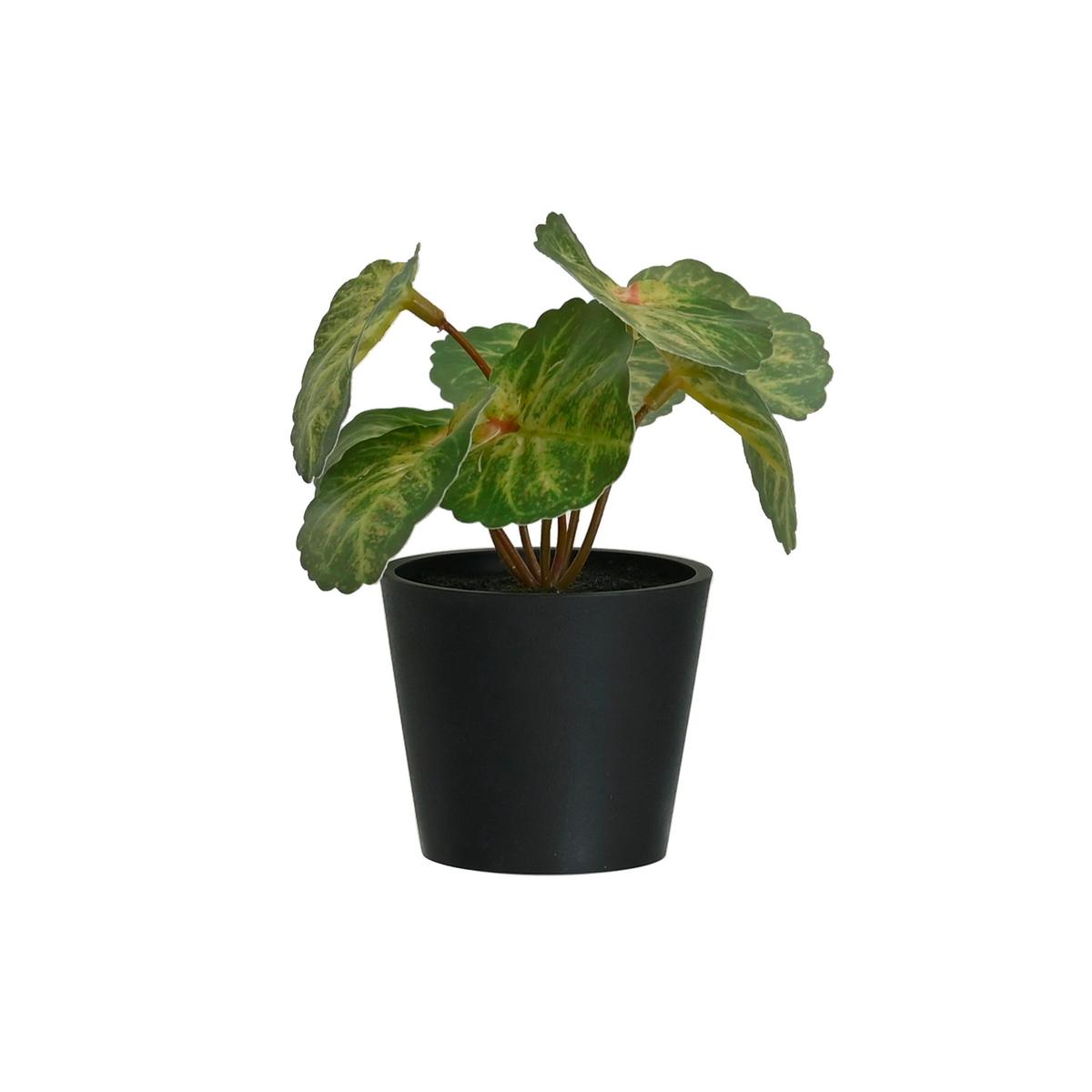 Plantă artificială PFLANZENGESTECK - verde/negru, plastic (7/13cm) - Mömax