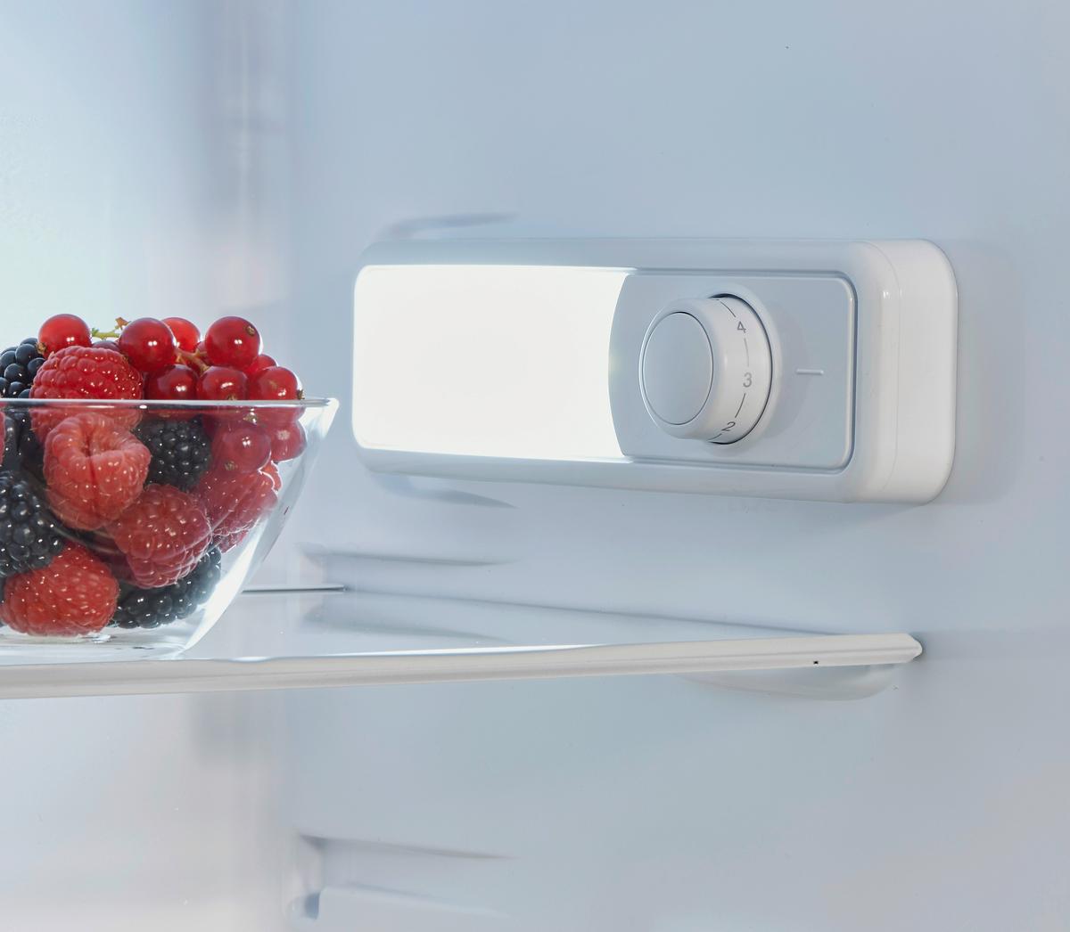 Kühl-Gefrier-Kombination GK225.4EEBN - Weiß, Basics, Kunststoff (54/145/54cm) - PKM