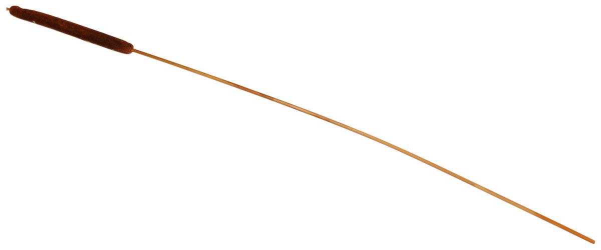 Dekor Növény Nád - barna/natúr, természetes anyagok (77cm) - Modern Living