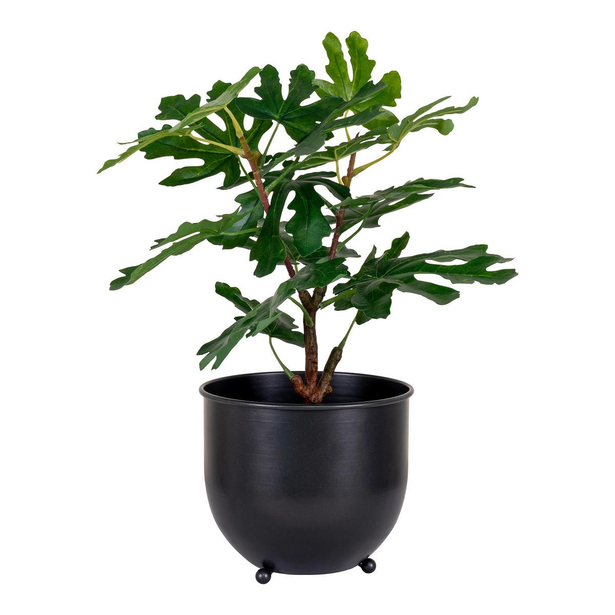 Kunstpflanze Fig Tree Grün - Grün, Design (40/60/40cm)
