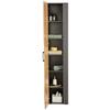 HÖGSKÅP TIMBER -EXKLUSIV- - Modern, metall/trämaterial (40/194/35cm) - Premium Living
